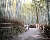 Arashiyama, JP 2012