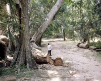 Ta Phrom, KH 2012