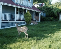 Port Townsend, WA 2013